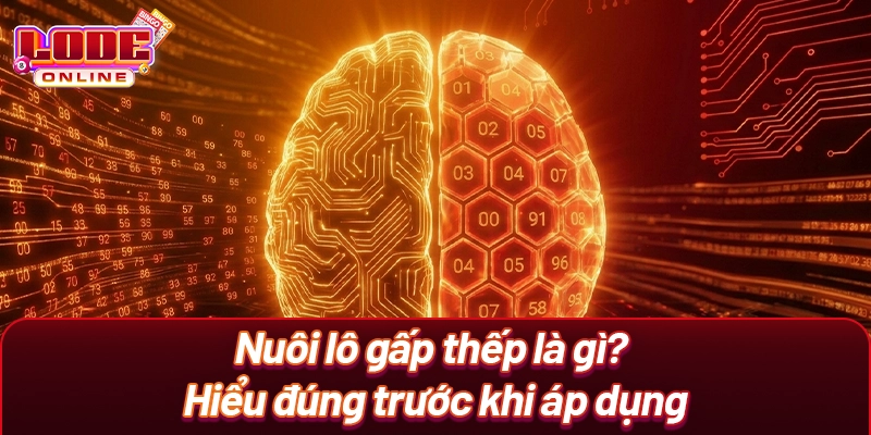 Nuôi Lô Gấp Thếp